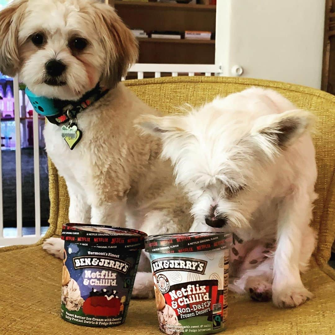 シャーリーズ・セロンさんのインスタグラム写真 - (シャーリーズ・セロンInstagram)「This is not an ad, just a reminder that @benandjerrys has the best ice cream in the game AND is committed to dismantling white supremacy! We love a bowl of Netflix and Chill’d with a side of racial justice!!」7月27日 2時20分 - charlizeafrica