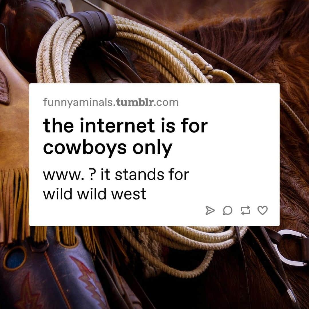 Tumblrさんのインスタグラム写真 - (TumblrInstagram)「.com stands for cowboys only, mortals.⁠ #cowboys #wildwildwest #internet」7月27日 3時15分 - tumblr