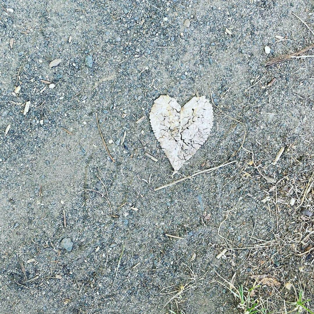 ラファエル・スバージさんのインスタグラム写真 - (ラファエル・スバージInstagram)「Re-leaf  Heart-felt   #sunday  #whattayasee」7月27日 4時14分 - raphaelsbarge