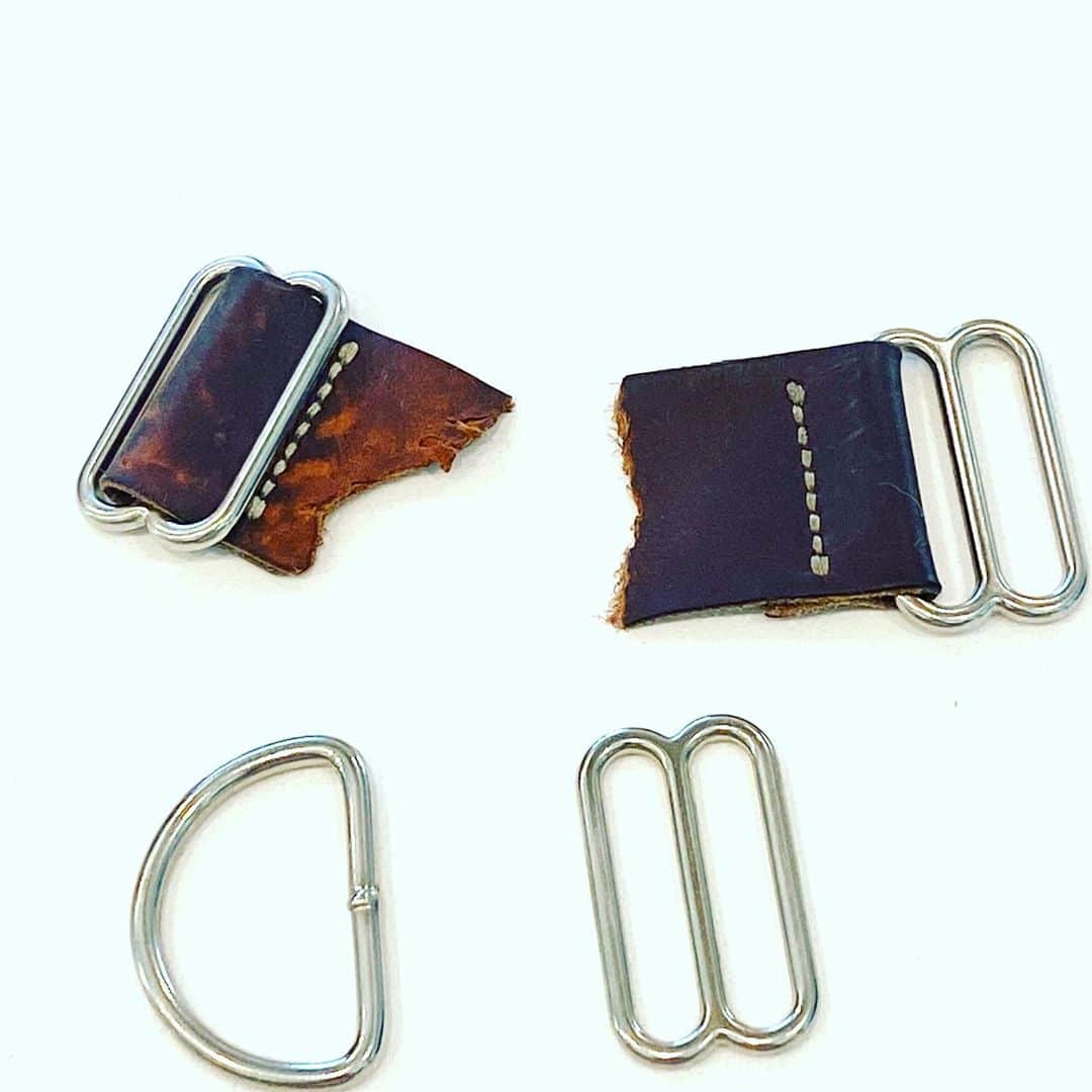 ジェリー・ライアンのインスタグラム：「Really, Lulu...?!? This is what’s left of our dog’s collar. At least until she threw up the rest. 🙄 #boxersofinstagram」