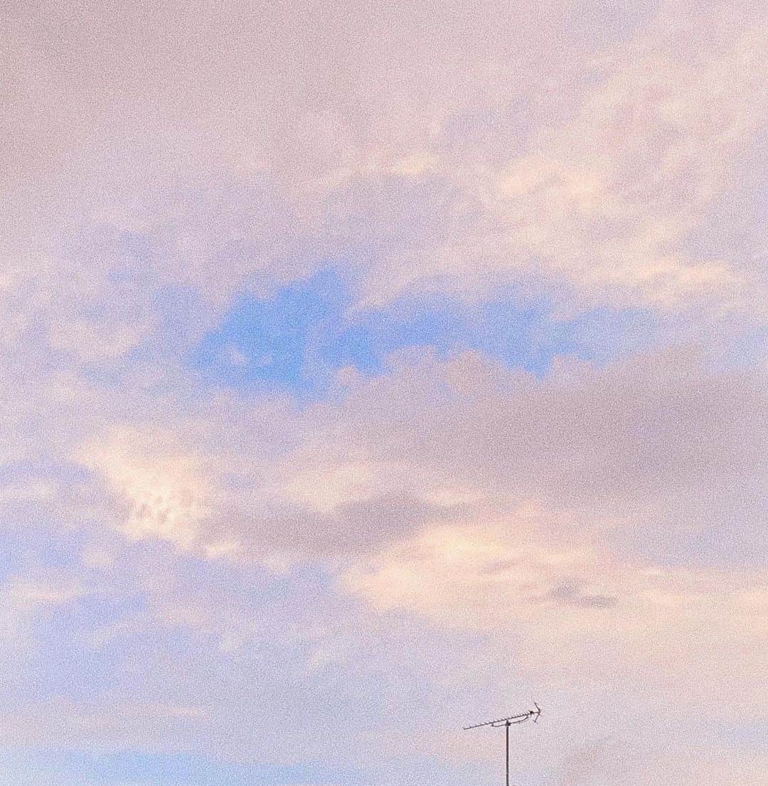 佐藤千亜妃さんのインスタグラム写真 - (佐藤千亜妃Instagram)「空がキレイって聞いて外を見たら、ほんとだった。朝の空キレイだった。 好きなものを好きなまま生きていられる世界でありますように。って家の花が言ってる🌼」7月27日 5時14分 - chiaki_sato0920