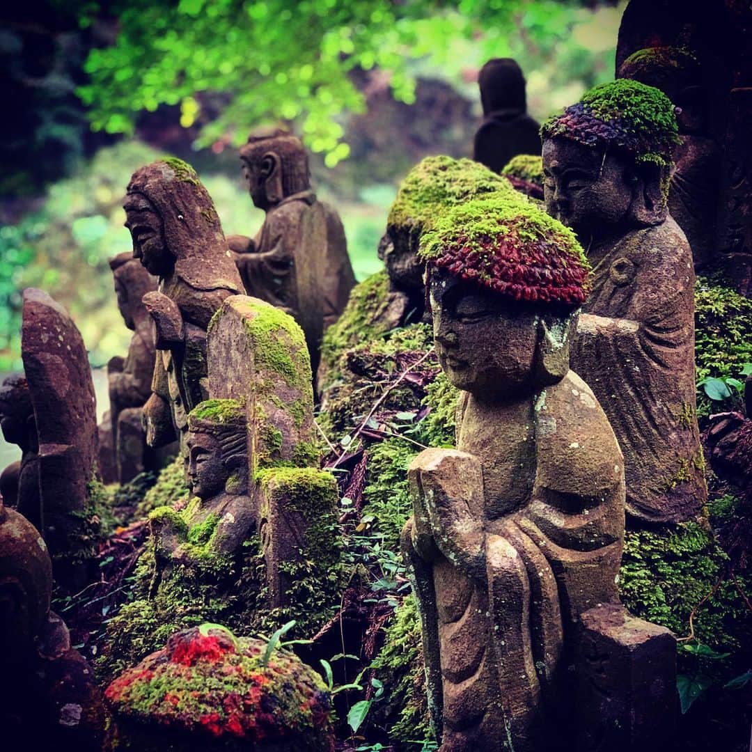 石田昌宏さんのインスタグラム写真 - (石田昌宏Instagram)「長い祈り」7月27日 5時52分 - masahiro_ishida_