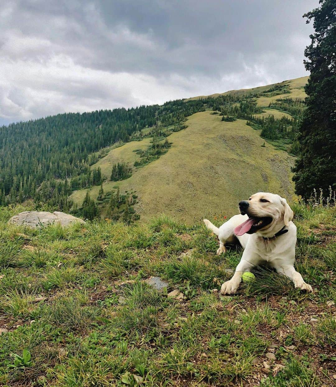 ジャック・ジョンソンさんのインスタグラム写真 - (ジャック・ジョンソンInstagram)「Snow in July! ❄️」7月27日 6時27分 - jvck.j