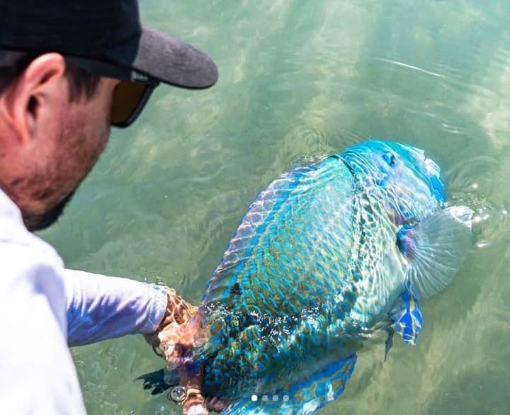 Costa Sunglassesのインスタグラム：「Tuskie takeoff. 📷: @aussieflyfisher #SeeWhatsOutThere #BornOnTheWater」