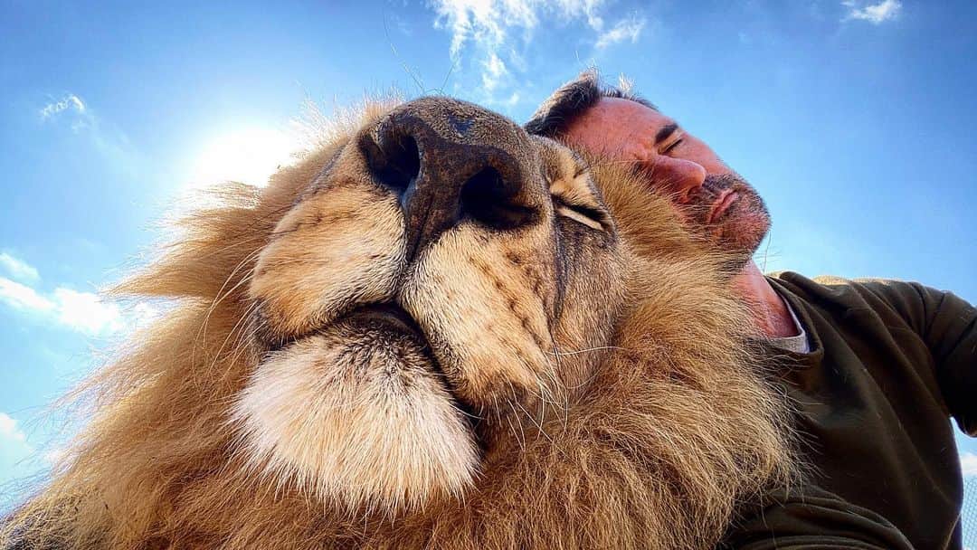 Kevin Richardson LionWhisperer さんのインスタグラム写真 - (Kevin Richardson LionWhisperer Instagram)「𝕌𝕟𝕥𝕚𝕝 𝕠𝕟𝕖 𝕙𝕒𝕤 𝕝𝕠𝕧𝕖𝕕 𝕒𝕟 𝕒𝕟𝕚𝕞𝕒𝕝, 𝕒 𝕡𝕒𝕣𝕥 𝕠𝕗 𝕠𝕟𝕖’𝕤 𝕤𝕠𝕦𝕝 𝕣𝕖𝕞𝕒𝕚𝕟𝕤 𝕦𝕟𝕒𝕨𝕒𝕜𝕖𝕟𝕖𝕕 - 𝔸𝕟𝕒𝕥𝕠𝕝𝕖 𝔽𝕣𝕒𝕟𝕔𝕖」7月27日 18時16分 - lionwhisperersa