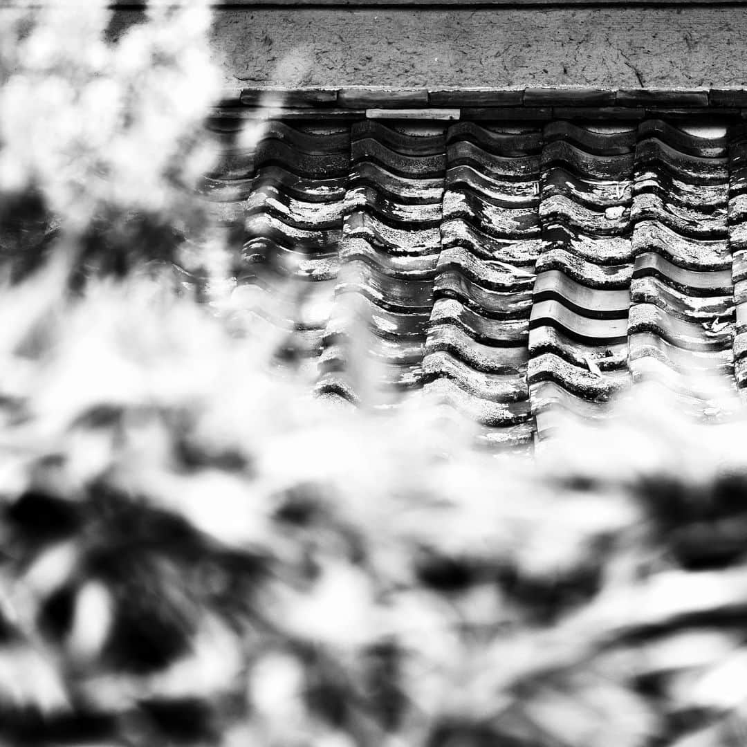 naotakeのインスタグラム：「瓦 - Roofing tiles / D810 & Snapseed, 20200728 . . ある友人の言葉「言わなきゃわからない奴は、言ってもわからない」を痛感する今日この頃。 . . #spicollective #royalsnappingartists #infamous_family #rsa_main #infinity_photo_cult #2_fineart #jp_gallery_member #jp_gallery_bnw #trb_bnw #wp_bnw  #bnw_life #bnwlife_member #bnw_life_shots #bnw_captures #world_bnw #top_bnw #team_jp_ #team_jp_モノクロ #ig_energy_bw #ig_nihon #streetphotographybnw #igersjp #blackandwhite #bnw #bnwphoto #monochrome #bw #bnwphotography #nikon #nikonphotography」
