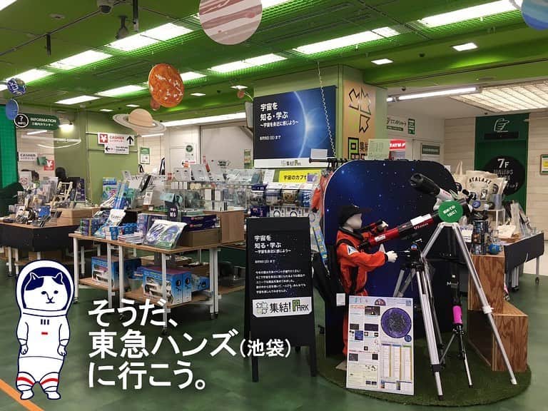 のインスタグラム：「宇宙好きのみんなぁぁあ❣️⭐️🌎✨現在、東急ハンズ池袋店 1F イベントスペースにて、宇宙イベントが開催されており、数々の宇宙グッズが展開されているよ〜👳🏼‍♀️🚀⭐️ もちろん、私たちNEKONOBAの、NYASA(ニャサ)グッズも多数取り揃えておりますルカ😤🏝⭐️ 大人気のスマホリングや、売れ筋のガーゼハンカチなどなど、モリッと揃えているよ💪🏻宇宙好きは要チェックや‼️✨ 期間は8月9日(日)まで🦾💪🏻🦾💪🏻池袋行くよーって方はぜひお立ち寄り下さいなっ👣💕  ■東急ハンズ池袋店 東京都豊島区東池袋1-28-10 売り場は1Fです🌠🚀😸  #neko_magazine #NEKONOBA #ねこマガジン #ネコノバ #ねこ #猫 #cat #catstagram #cat #雑誌ねこ #ねこ雑貨 #ねこグッズ #今日のねこ #nyasa #ニャサ #nasa #kozacla #宇宙 #宇宙グッズ #宇宙好き #東急ハンズ #池袋 #ikebukuro」