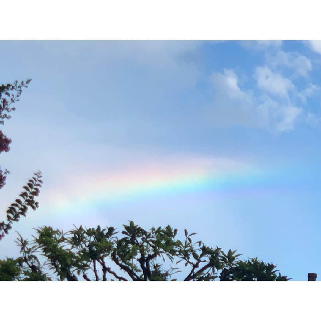 川崎琴之さんのインスタグラム写真 - (川崎琴之Instagram)「昨日空見たら虹が🌈 いいことあるといいなー✨ ・ ・ #虹 #空 #空撮 #青空 #写真 #風景 #風景写真 #무지개 #하늘 #푸른하늘 #일본 #사진 #풍경 #rainbow #sky #view #skyphotography #lll #fff #followforfollowback #followｍe #follow4like #liketime #likeforlikes #instagood #instalike」7月27日 17時06分 - kotono_0406