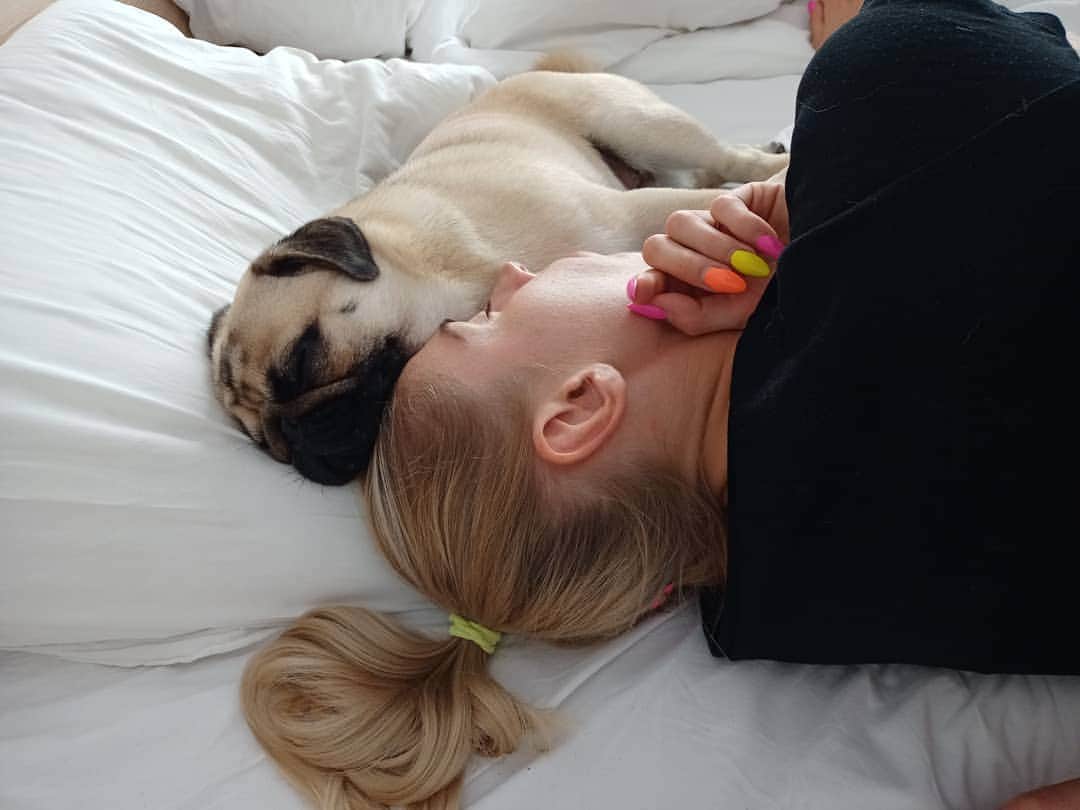 イガ・バウムガルトさんのインスタグラム写真 - (イガ・バウムガルトInstagram)「Hello Monday 😎  #puglove #mops #puglife #pug #sleep #hardday #monday #picoftheday」7月27日 17時06分 - iga.co.smiga