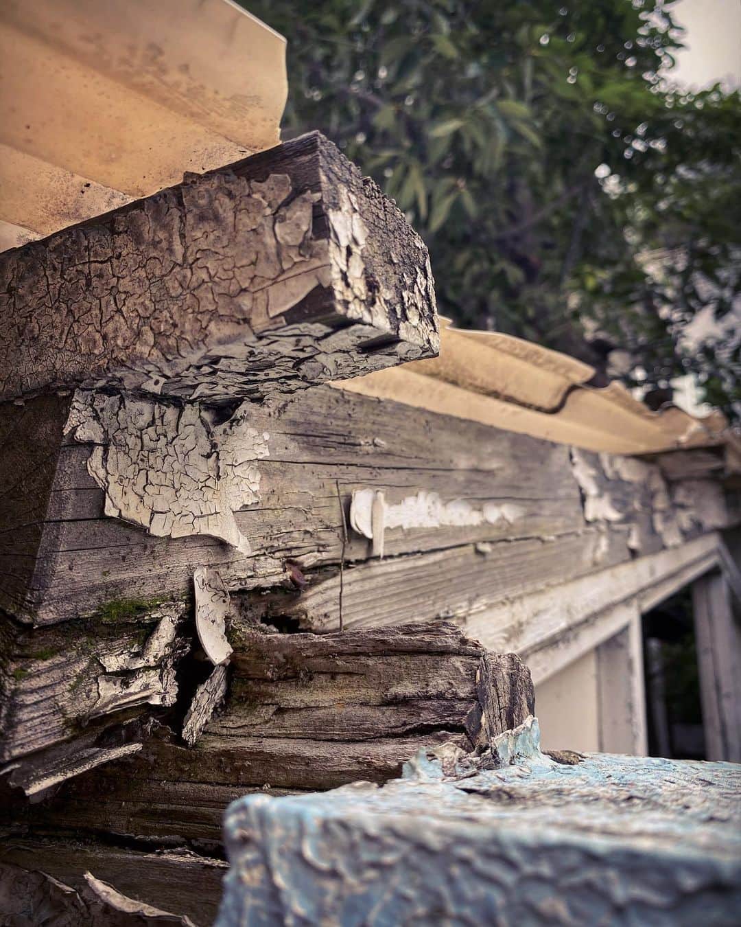 宍戸開のグルメインスタ