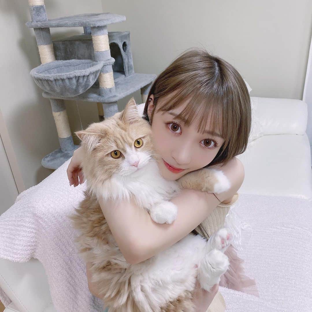 さぁや様専用 巻き上げ