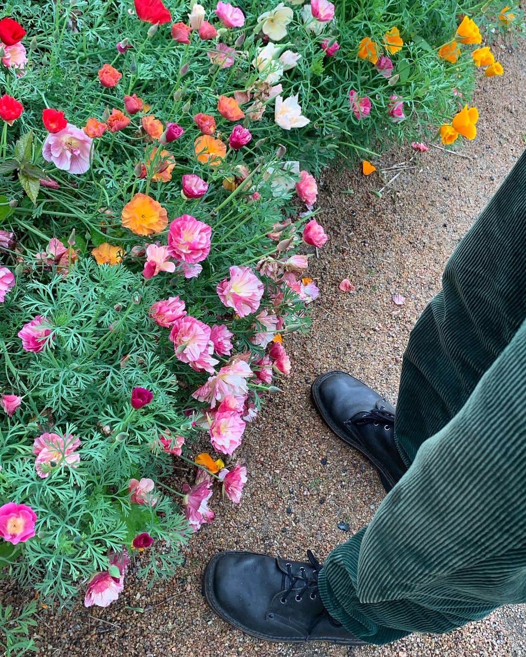 ウルリック・マンターのインスタグラム：「Visited a castle. Blommigt!」