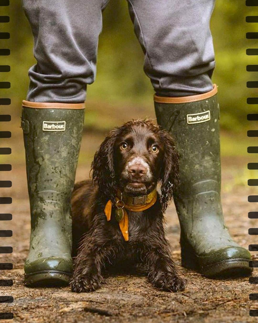 Barbour Japanのインスタグラム