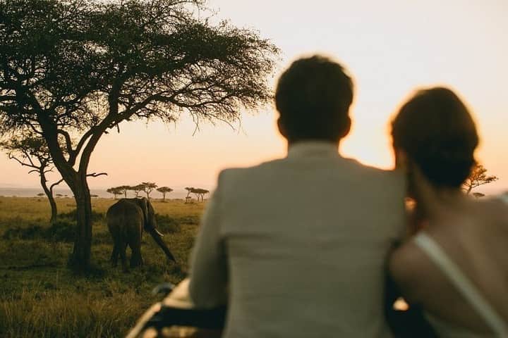 ゼクシィさんのインスタグラム写真 - (ゼクシィInstagram)「【撮影地はアフリカ？！ロケーションフォト実例SNAP🌍】 . 今回は、#ゼクシィ2020 のハッシュタグをつけて 投稿頂いた中から、なんとアフリカのケニアで ロケーションフォトを実施した 先輩花嫁さんの実例フォトをご紹介します🇰🇪 . ケニアの広大な大地に 野生の動物を見ながら佇むふたり❤️ 壮大な世界観にうっとり。 . シンプルなデザインのウエディングドレスや 深いグリーンのパンプスが ロケーションにもマッチしていますね👗 . @zoo__774 さま . . +♥+:;;;:+♥+:;;;:+♥+:;;;:+♥+:;;;:+♥+:;;;:+♥ . プロポーズから結婚式まで素敵なお写真募集中📸 . ゼクシィ公式アカウントでお写真を紹介してみませんか？ 【#ゼクシィ2020】 を付けて投稿してください📮 . +♥+:;;;:+♥+:;;;:+♥+:;;;:+♥+:;;;:+♥+:;;;:+♥ . ▼花嫁さんダウンロード数No.1 ゼクシィアプリはURLから🙌 @zexyrecruit . .  #前撮り#サファリフォト#ロケフォト#海外挙式#後撮り _ #海外前撮り#サンライズ撮影#サンライズフォト#海外後撮り#フォトツアー#ケニア前撮り#ケニア後撮り#アフリカ挙式#アフリカハネムーン _ #ハネムーンフォト#アフリカ旅行#ケニアウェディングフォト#アフリカウェディングフォト#アフリカフォトツアー#全国のプレ花嫁さんと繋がりたい#日本中のプレ花嫁さんと繋がりたい#ケニアウェディング#アフリカ前撮り#アフリカウェディング _ #サファリウェディング#ゼクシィ#ちーむゼクシィ#幸せが動きだしたらゼクシィ」7月27日 18時01分 - zexyrecruit