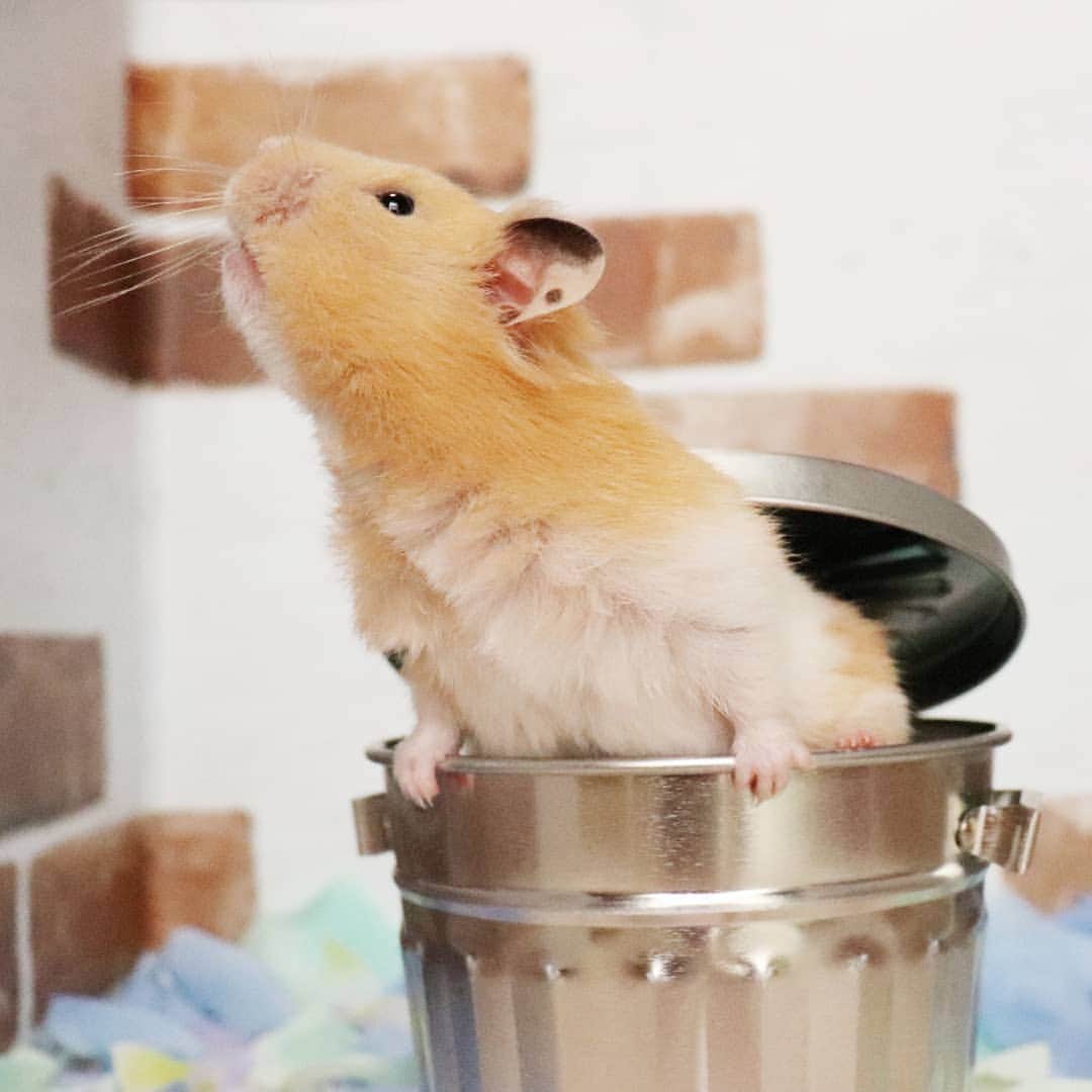 M nakataのインスタグラム