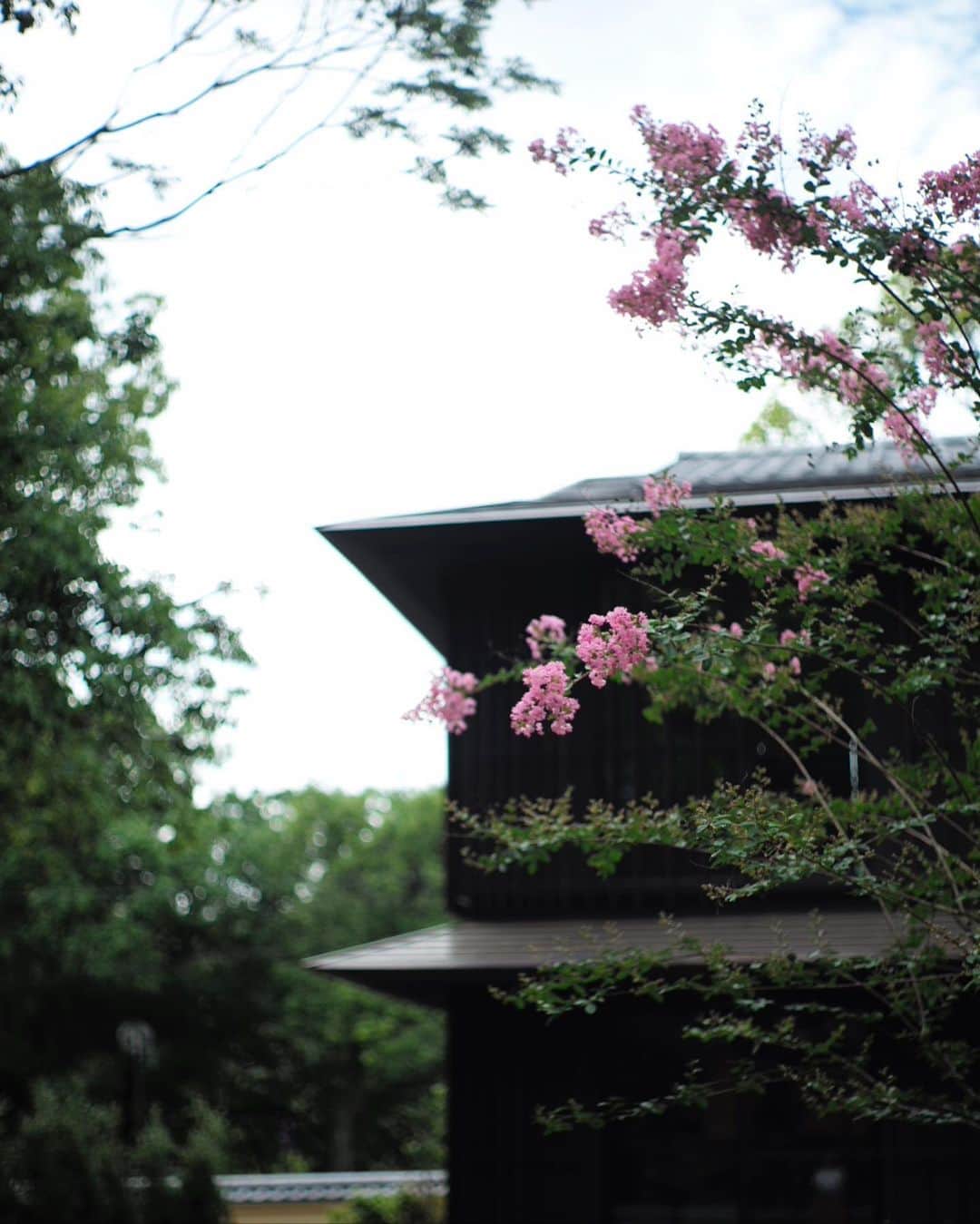 井上晃子さんのインスタグラム写真 - (井上晃子Instagram)「🦌🍃 @fufu_nara  奈良の食材(大和牛や大和真菜など)が使われていてとっても美味でした。 奈良公園の敷地内にopenしたばかりの新しいふふ。  細やかな配慮や心遣いが感じられて安心しておこもりステイしました。 また違う季節🍁に訪れたい 近場の贅沢だね♡ #fufunara#ふふ奈良」7月27日 10時25分 - akiki_2015