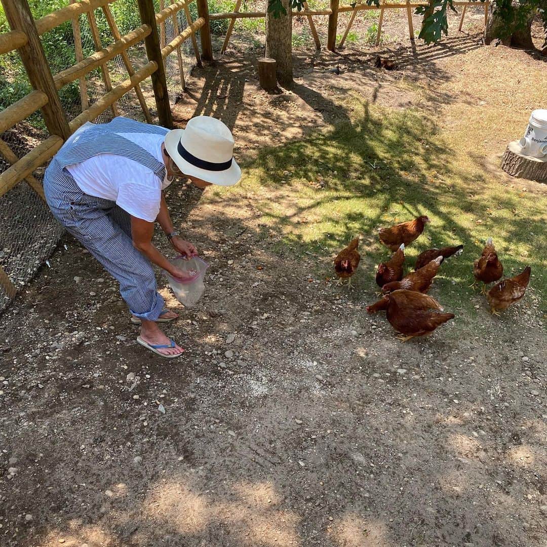 クリスティ・ブリンクリーさんのインスタグラム写真 - (クリスティ・ブリンクリーInstagram)「Hanging with the hens in the Heatwave . 🐓🌝 #hotchicks #itscluckinghot #dusty & #dirty」7月27日 11時14分 - christiebrinkley