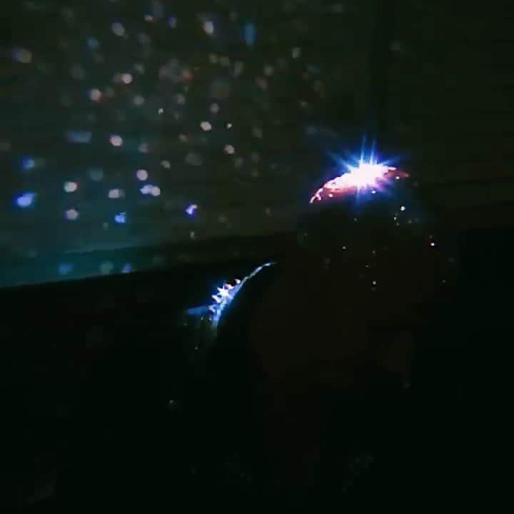 ブランドン・シェイアのインスタグラム：「Yesterday I made a music video for my next single  I.D.C.A.L (song comes out July 31) & it feels like a serious level up. Thanks for capturing this @blake_eiermann ❤️ @thediscodaddy did this to me hehe. I’m way too excited for y’all to see 😆  Song “boss bitch” by @dojacat」