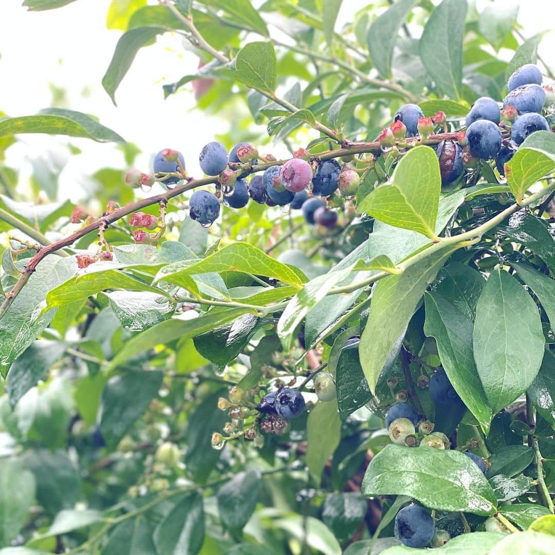 run+のグルメインスタ