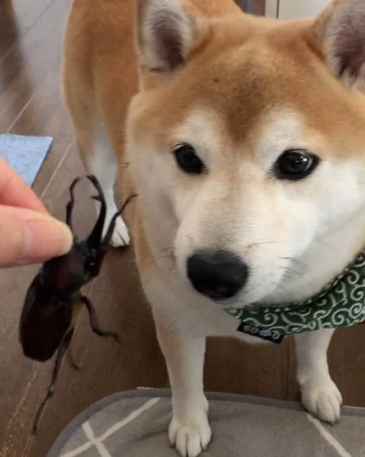 豆助左衛門（まめすけざえもん）のグルメインスタ