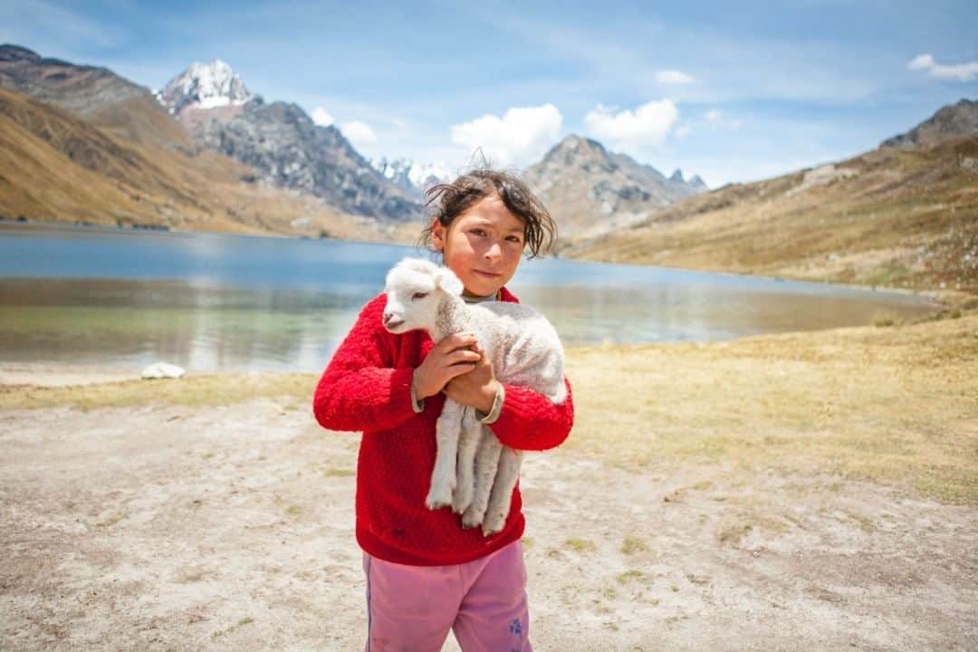 National Geographic Travelさんのインスタグラム写真 - (National Geographic TravelInstagram)「Photo by @emilypolar  A young girl carries her little lamb at Lake Querococha in the Ancash region of Peru. The lake is situated at 3,980 meters (13,058 feet) on the route to Chavín, an archaeological site containing ruins and artifacts dating back as early as 1200 B.C. To see more of Peru and beyond, follow me @emilypolar. #Peru #Ancash #Querocochalake」7月27日 13時10分 - natgeotravel