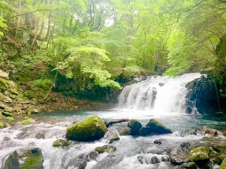 橘花梨のインスタグラム