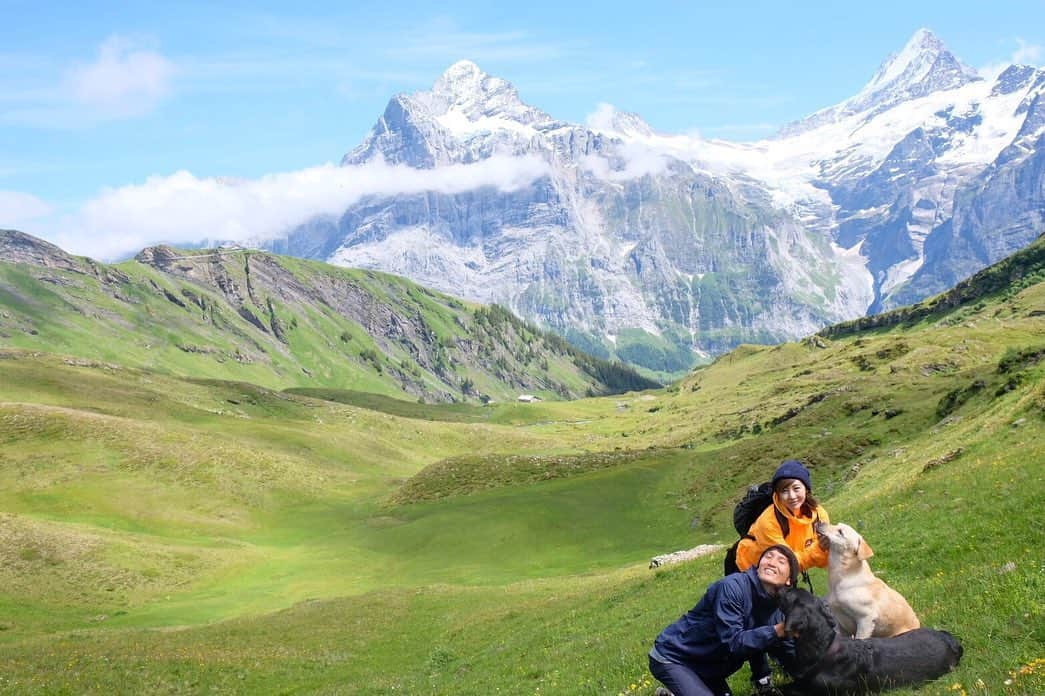 原口元気のインスタグラム：「🇨🇭🏔🐕👫❣️」