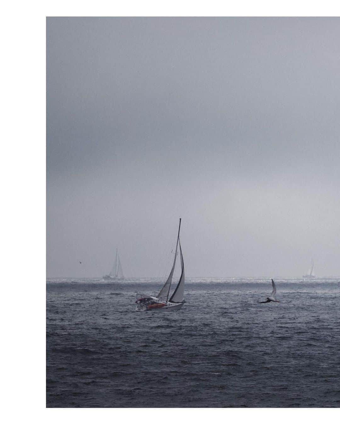 Pete Halvorsenのインスタグラム：「What a difference a day makes...something looks like it’s brewing off the coast. ⛵️」