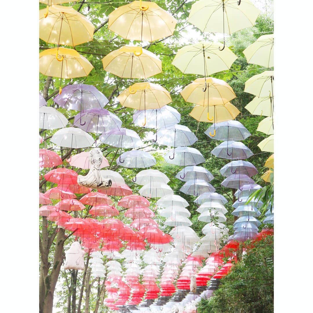 のインスタグラム：「☔️ ムーミン村へ行ったときの写真😆❤️ 久しぶりにみんなに会えた🥰❤️ 突然行ったのに優しくしてくれてありがとうございます。😢 みんなと撮った写真は、わたしの顔が全部同じだったので1枚にまとめました😀💧 みんなの写真展観に行かないと！☺️ 楽しかった〜😇  #ムーミン #ムーミンバレーパーク」