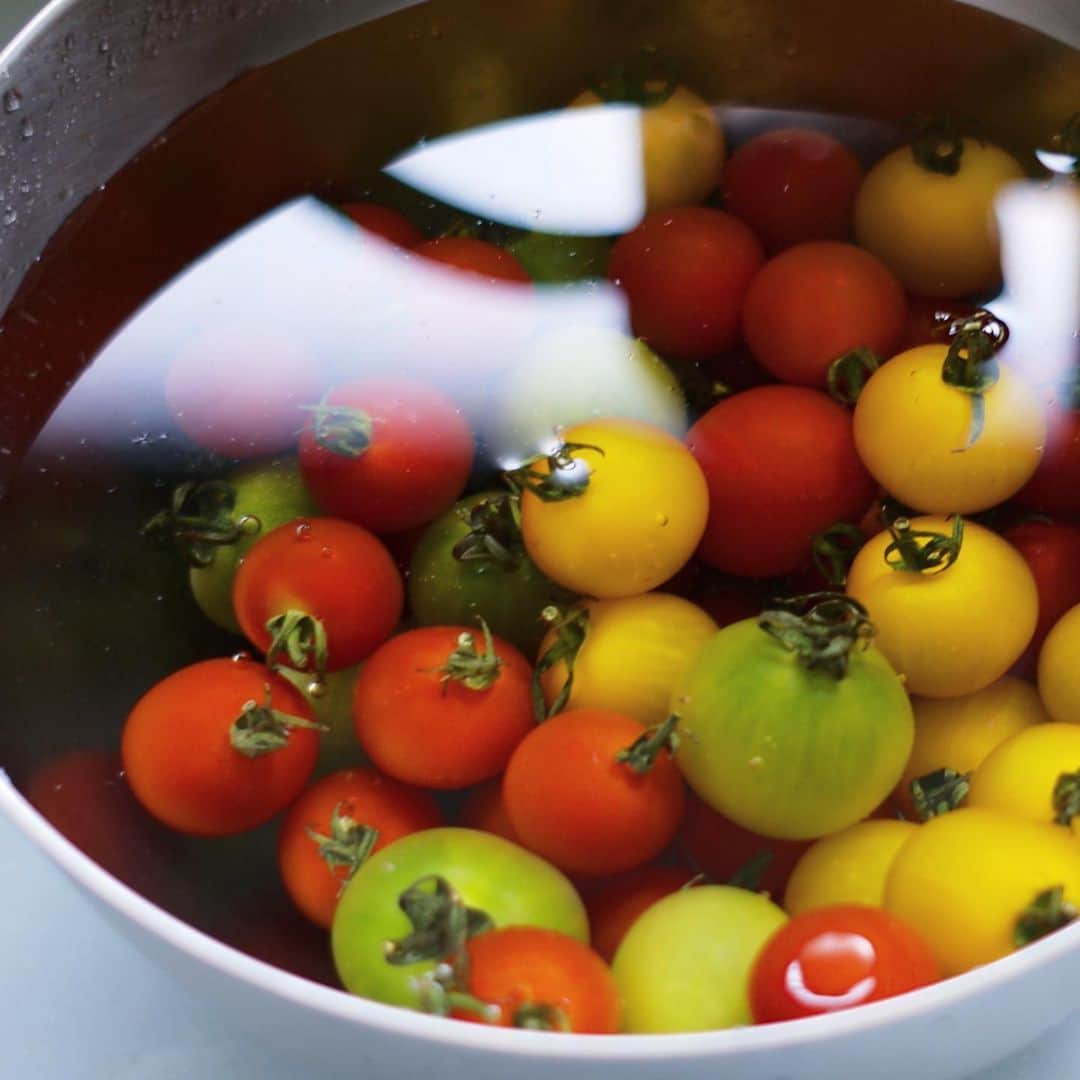 谷川じゅんじさんのインスタグラム写真 - (谷川じゅんじInstagram)「Tomato party. 少々違えどトマトはトマト。でも食べるとやっぱり違いあり。一緒だけど違う。違うけど一緒。なんだかヒトもトマトも同じだな。#goodvibesonly #goodneighbors #tokyolife #thisistokyo #thisisjapan」7月27日 15時12分 - junjitanigawa
