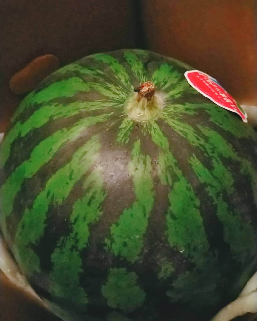 悠木あやねさんのインスタグラム写真 - (悠木あやねInstagram)「スイカの名産地よりスイカが届きました🍉  ただ、ひとりで2Lは大き過ぎた🤣💦  甘くて美味しい🤤🍉 スイカの皮も、サラダ、漬物、スープにする予定なので、冷蔵庫がスイカでいっぱいになりました((´∀｀))ｹﾗｹﾗ  #スイカの日 #すいかの日 #すいか #スイカ #watermelon #watermelon🍉 #スイカの名産地 #悠木あやね #AyaneYuki #YukiAyane #カプセルエージェンシー #capsuleagency #AV女優 #セクシー女優 #アダルト女優 #女優 #pornstar #モデル #model #nudemodel #asiangirls #asiandoll #asianbeauty #asiansexy #japanesegirl #japanesegirls」7月27日 15時16分 - yukiayane0926