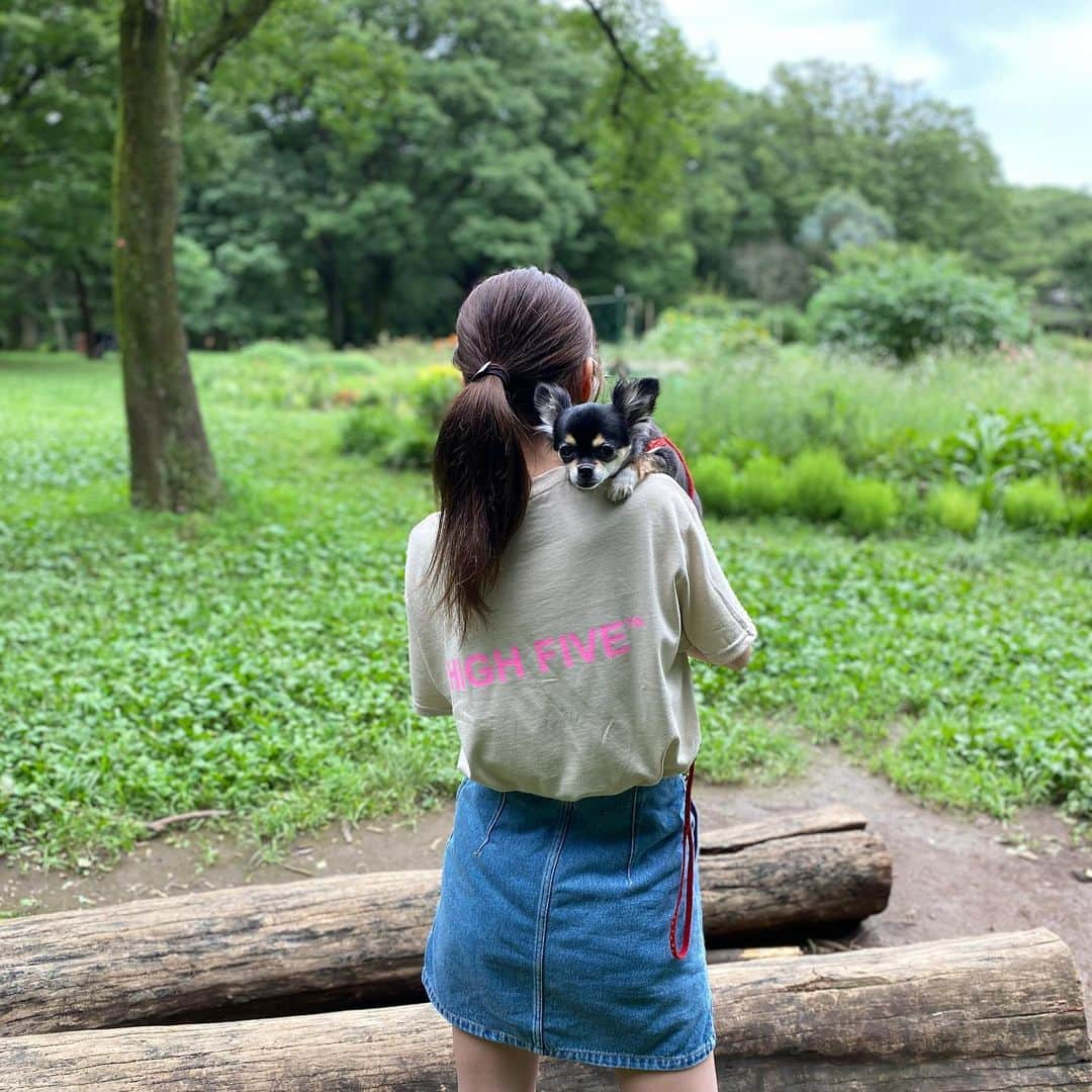 前田ゆうさんのインスタグラム写真 - (前田ゆうInstagram)「すこしお天気だったから公園におさんぽ🦖くもりだったから☁️すこしパラパラしてただけも😊☁ びーたむそんそんそんテクテクあるきました＾＾️🎵」7月27日 15時26分 - yuu_maeda