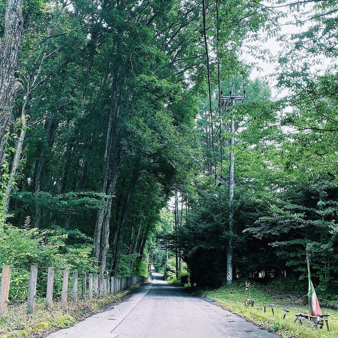 武藤千春さんのインスタグラム写真 - (武藤千春Instagram)「みどりの香り、心癒されます。 こちらは雨も落ち着き、 少しだけ晴れ間も見えてきました。 ７月も今週で終わり。 梅雨明けはまだ先のようです🌿☁️」7月27日 15時48分 - iamchiharumuto