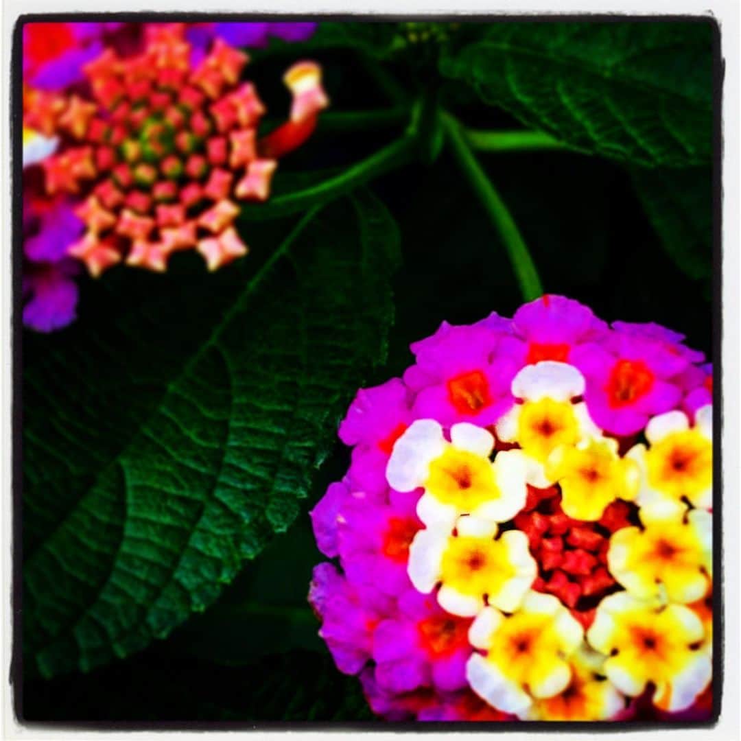 浅岡雄也のグルメインスタ