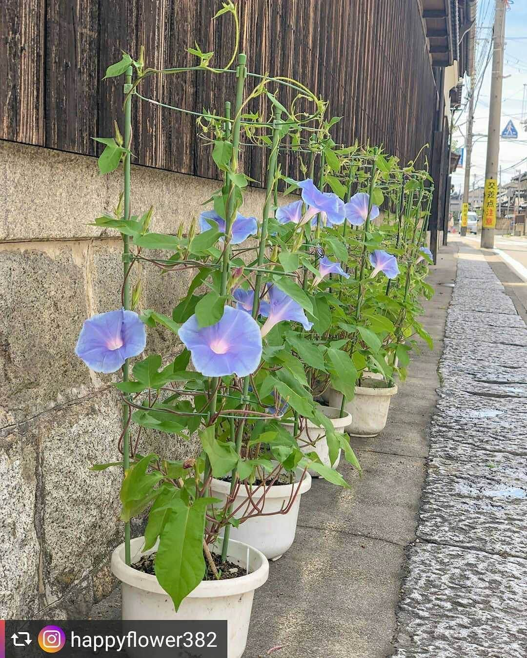 兵庫県のインスタグラム