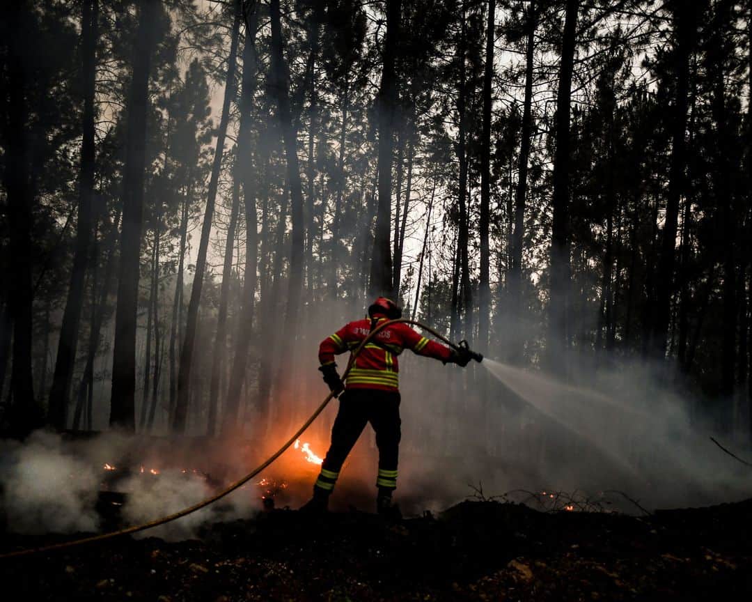 AFP通信さんのインスタグラム写真 - (AFP通信Instagram)「AFP Photo 📷 @patmmoreira - A wildfire burns near Isna village, Castelo Branco, on July 26, 2020.」7月28日 2時11分 - afpphoto