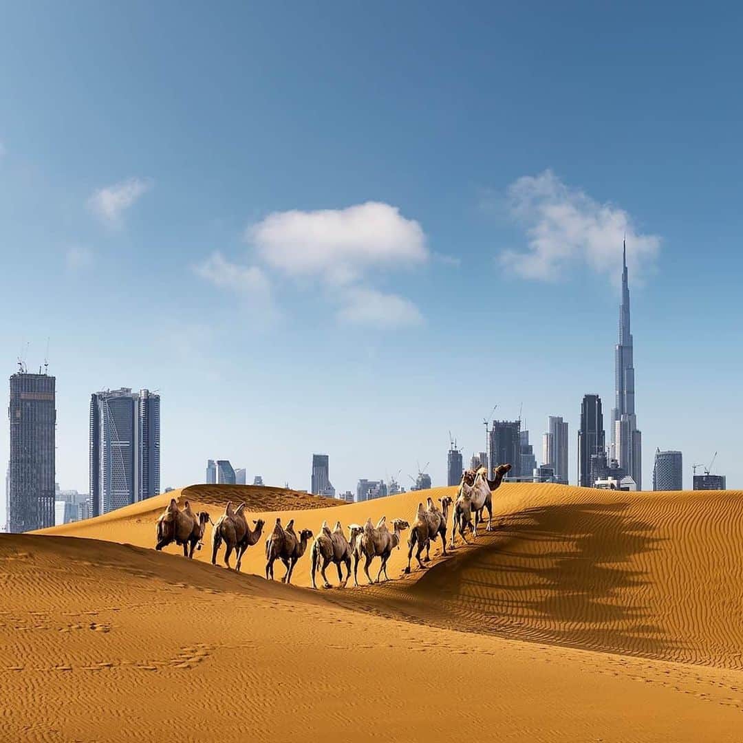 キャセイパシフィック航空さんのインスタグラム写真 - (キャセイパシフィック航空Instagram)「We first flew to beautiful #Dubai back in November 1977, and since then we’ve seen over 4 decades of incredible change. See if you can spot the 5 differences between these snaps - be sure to tell us if you got them all in the comments 🧐⁣⁣ ⁣⁣ 我們於1977年11月首次飛往別具風情的中東大城市 #杜拜。40多年以來，杜拜的高速發展舉世矚目，市內建築更是宏偉創新，屢破紀錄。大家不如試試在這個杜拜風景中找出五個不同之處！⁣⁣ ⁣⁣ #cathaypacific #MoveBeyond #SpotTheDifference」7月27日 18時36分 - cathaypacific