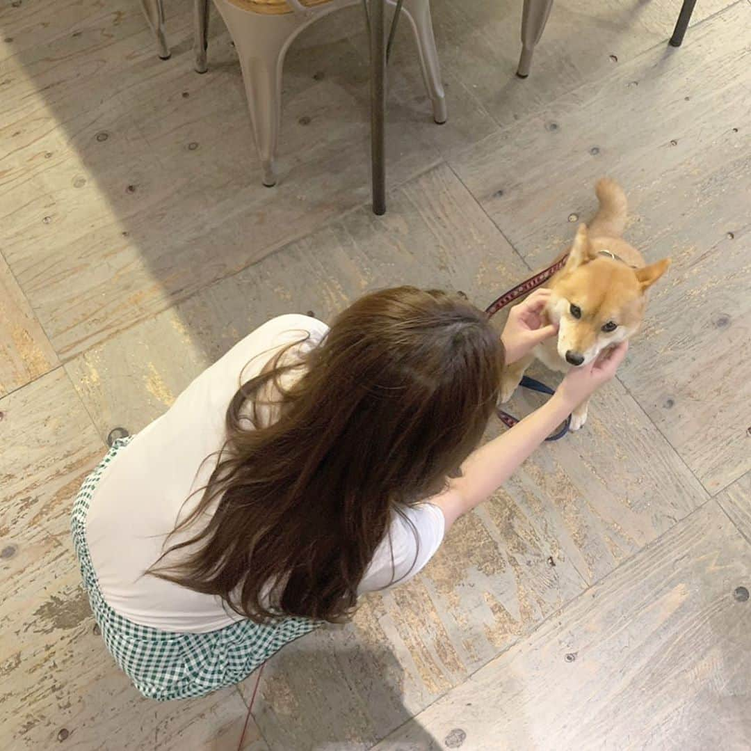 高橋胡桃さんのインスタグラム写真 - (高橋胡桃Instagram)「.#🐶  #高橋胡桃 と #犬」7月27日 18時45分 - kurumi_takahashi_