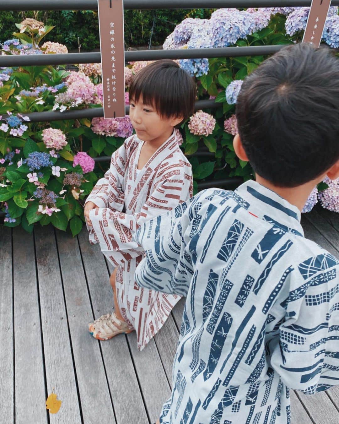 高橋菜摘のインスタグラム：「. もこもこした満開の紫陽花も もちろん大好きだけど 咲き始めの紫陽花、可愛くて好き💠 なんとなく昔からマイカラーが こういう色だから好きなのかも🤍 . さぁそろそろいいんじゃない？ #梅雨明け  首を長くして待ってるよ✌️ . それにしても4連休遊び倒して 満足ぐったりな週明け🌞 夏休みは先週から始まったものの 今週は全部夏季保育で兄は居ないけど 8月、どう過ごそうかな〜 ワクワクドキドキ💭 ほとんどキャンプの予定しか 立ててないよー！ 遊んでください👀 . . . #紫陽花 #あじさい #兄妹 #旅行  #旅 #梅雨 #散歩 #浴衣 #いとこ  #1歳 #5歳 #旅 #男の子ママ #花 #flower #ajisai #trip #travel  #family #japan #kids #boys」