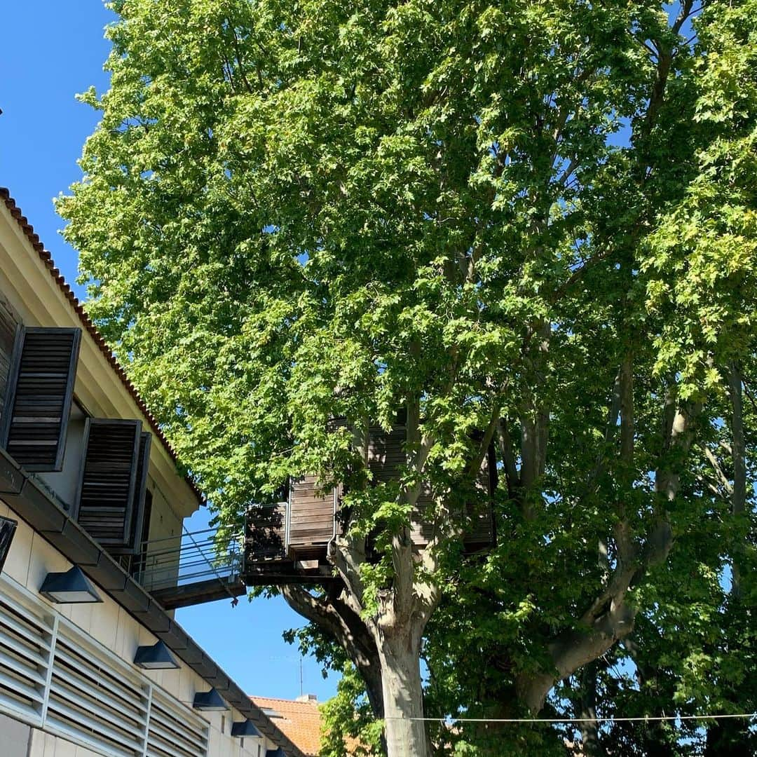 シャンタルトーマスさんのインスタグラム写真 - (シャンタルトーマスInstagram)「La cabane dans un arbre charmant #hoteldelimage #saintremydeprovence」7月27日 19時08分 - chantalthomass