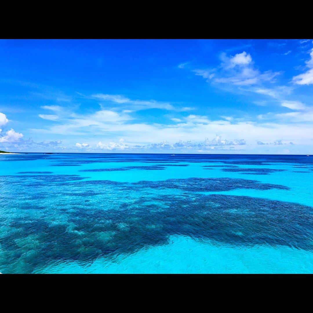 大阪ウシ子のグルメインスタ