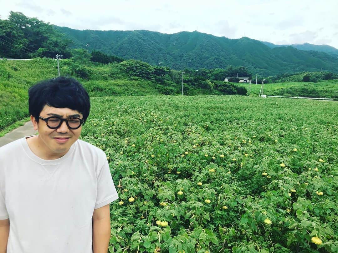 梶剛さんのインスタグラム写真 - (梶剛Instagram)「‪まんのうのヒマワリ畑。‬  ‪1ヶ月前に行ったら早すぎて、今日行ったら遅すぎた。‬  ‪来年はちょうどを狙います。  #まんのう町 #ひまわり‬」7月27日 19時32分 - kajitsuyoshi