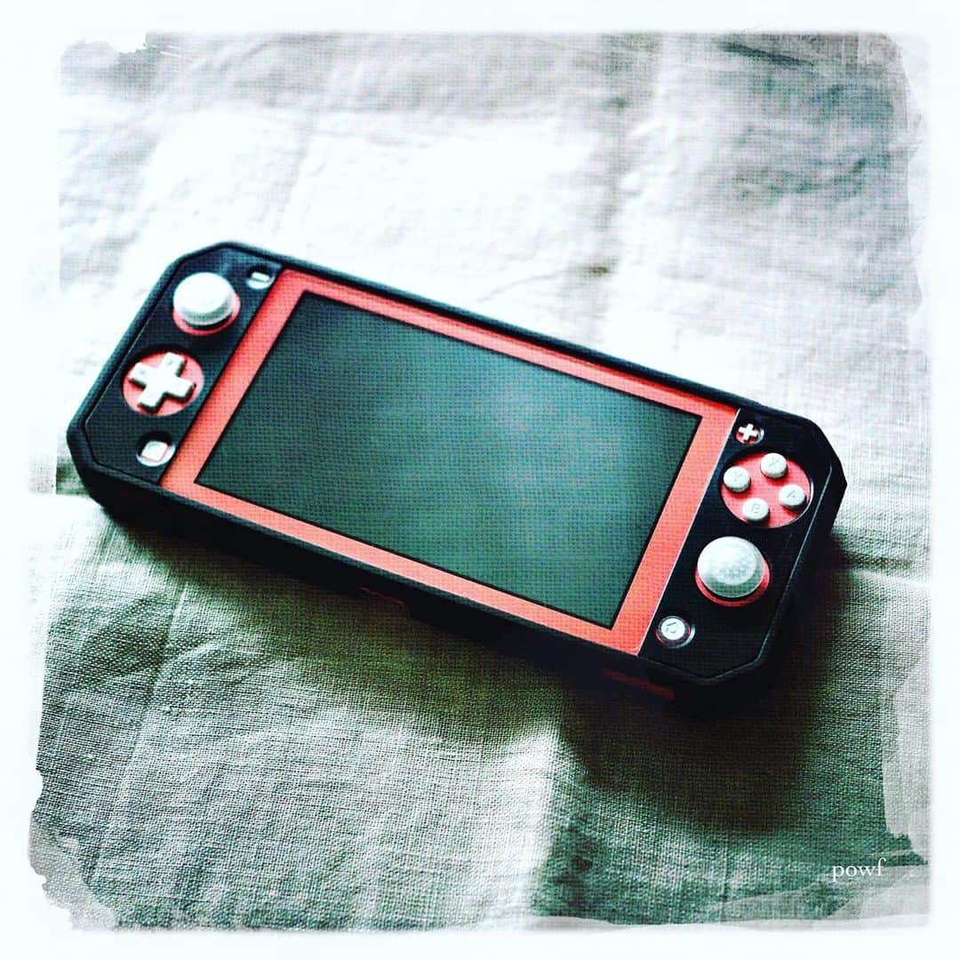 anemone_69のインスタグラム：「. 5連休(！)最終日。 某サイトで ダメ元で応募していた Switch Liteが当選し(購入権が)、 連休初日に届いたので、 遅ればせながら 無人島生活はじめました。 (ひきこもり) . #switchlite #コーラルが当たるとは #カバーでカバーしましょう #意外といいかも #とりあえず元気です . . #stayhome #staysafe #DreamCanvas_powf .」