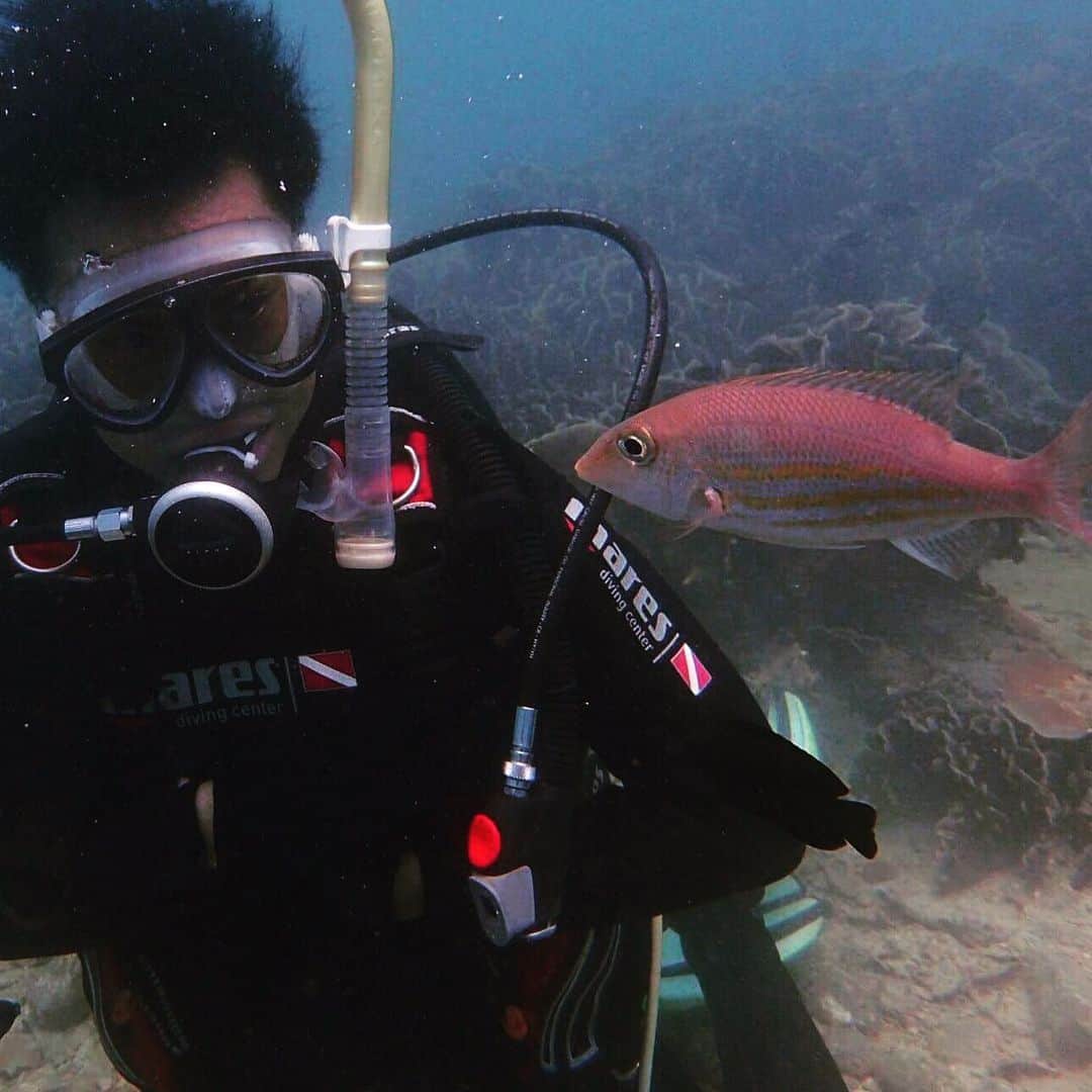 前原竜二のインスタグラム：「・ スキューバダイビングの資格を おととし取得しました。 海の中って本当別世界で 知らない世界がたくさんあります。 #ktstv #スキューバダイビング #南さつま市 #また潜りたい #diver  #diving  #kagoshima」