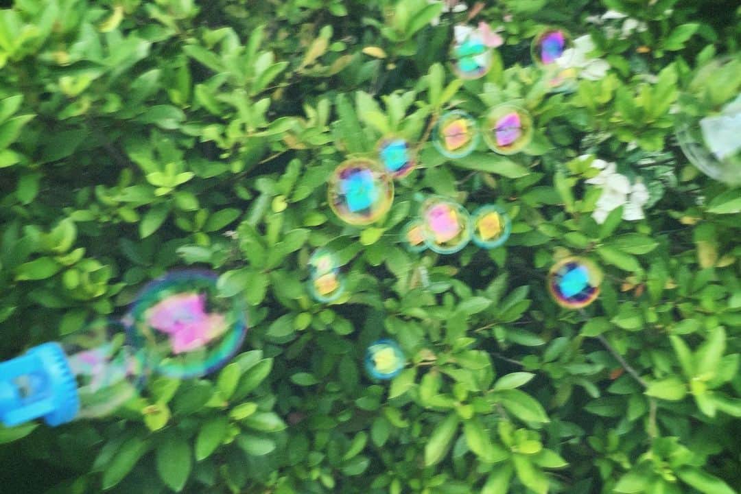のインスタグラム：「シャボン玉〜🤍🧡﻿ ﻿ きゃわたん、きゃわたん🥺🥺﻿ ﻿ 2枚目は奇跡の1枚！！﻿ ﻿ 大きいシャボン玉が出来たよ〜☺️🌈✨﻿ ﻿ そして今月の目標だった﻿ フォロワーさんが3000人突破しました〜😆﻿ ﻿ わーい🙌うれぴーまん♡﻿ ﻿ 皆さん、いつもコメントも♡も﻿ ありがとうございます！！﻿ ﻿ これからも松本さんらしく更新していくので﻿ 宜しくねっ😆🍭✨🌈🌈﻿ ﻿ #シャボン玉 #シャボン玉遊び  #可愛い #きゃわたん #奇跡  #いつもありがとう #これからもよろしくね #大好き #❤️  #7月 #毎日更新 #毎日投稿  #夏 #summer」
