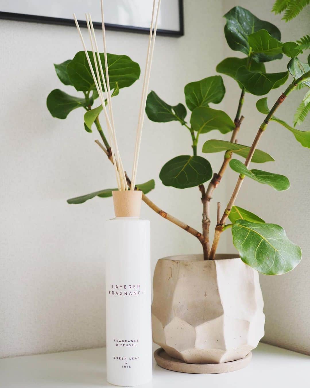 田中亜希子さんのインスタグラム写真 - (田中亜希子Instagram)「在宅時間が長くなり 家にいる時間も何か空間の動きが欲しくて家具やグリーンの配置を変えてみたり、花を飾ってみたりしています。  香りで部屋の空間を心地良くするのも ひとつの手段です。  @layered_fragrance  フレッシュで少し甘さのあるFRESH PEARを寝室、リビングには爽やかなGREEN LEAF&IRISで 部屋ごとに香りを変えて。 500mlのディフューザーはかなり香りが広がるので2つの香りが重なる場所もあり、それもまた香りを楽しめて好きです。  500ml ディフューザータイプは広くふんわり香るのが特徴です♡ 約4～6ヶ月ほど持つのも嬉しいです＾＾  #layeredfragrance #レイヤードフレグランス #グリーンリーフアンドアイリス #フレッシュペア #sholayered #ショーレイヤード #diffuser #ルームフレグランス #ディフューザー #インテリア #おうち時間 #フレグランス #香水 #香りのある暮らし #香り好きな人と繋がりたい #musthaveitem #perfumes #fragrancecollection #fragrance #japanesefragrance #luxurywithlayered #pr」7月27日 20時35分 - akiico