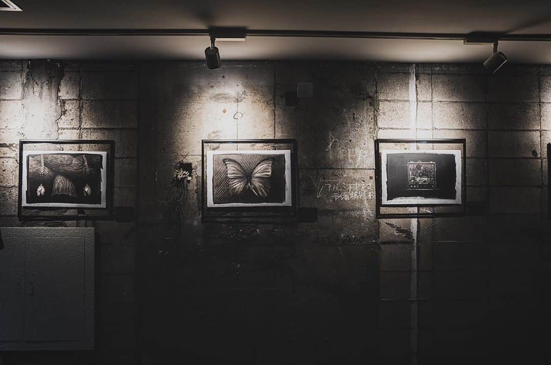 落合陽一のインスタグラム：「#reminiscence_of_the_unknown #未知への追憶　#落合陽一個展 #落合陽一 #yoichiochiai #shibuya #nofilter」