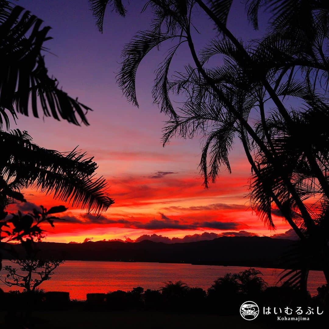 HAIMURUBUSHI はいむるぶしさんのインスタグラム写真 - (HAIMURUBUSHI はいむるぶしInstagram)「小浜島・はいむるぶしから癒しの風景をお届けします。 はいむるぶし園内のサンセット広場で撮影した夕景。 ティダ(太陽)が沈んだ後に、色鮮やかに染まったマジックアワー。 時折自然から素敵な光景の贈り物があります。 #沖縄 #八重山諸島 #小浜島 #夕景 #夕焼け #マジックアワー #リゾート #ホテル #はいむるぶし」7月27日 20時39分 - haimurubushi_resorts