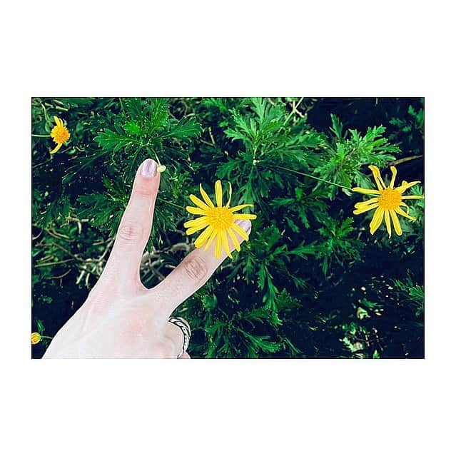 JUDAIのインスタグラム：「Summer Mood  #テキサスギャル」