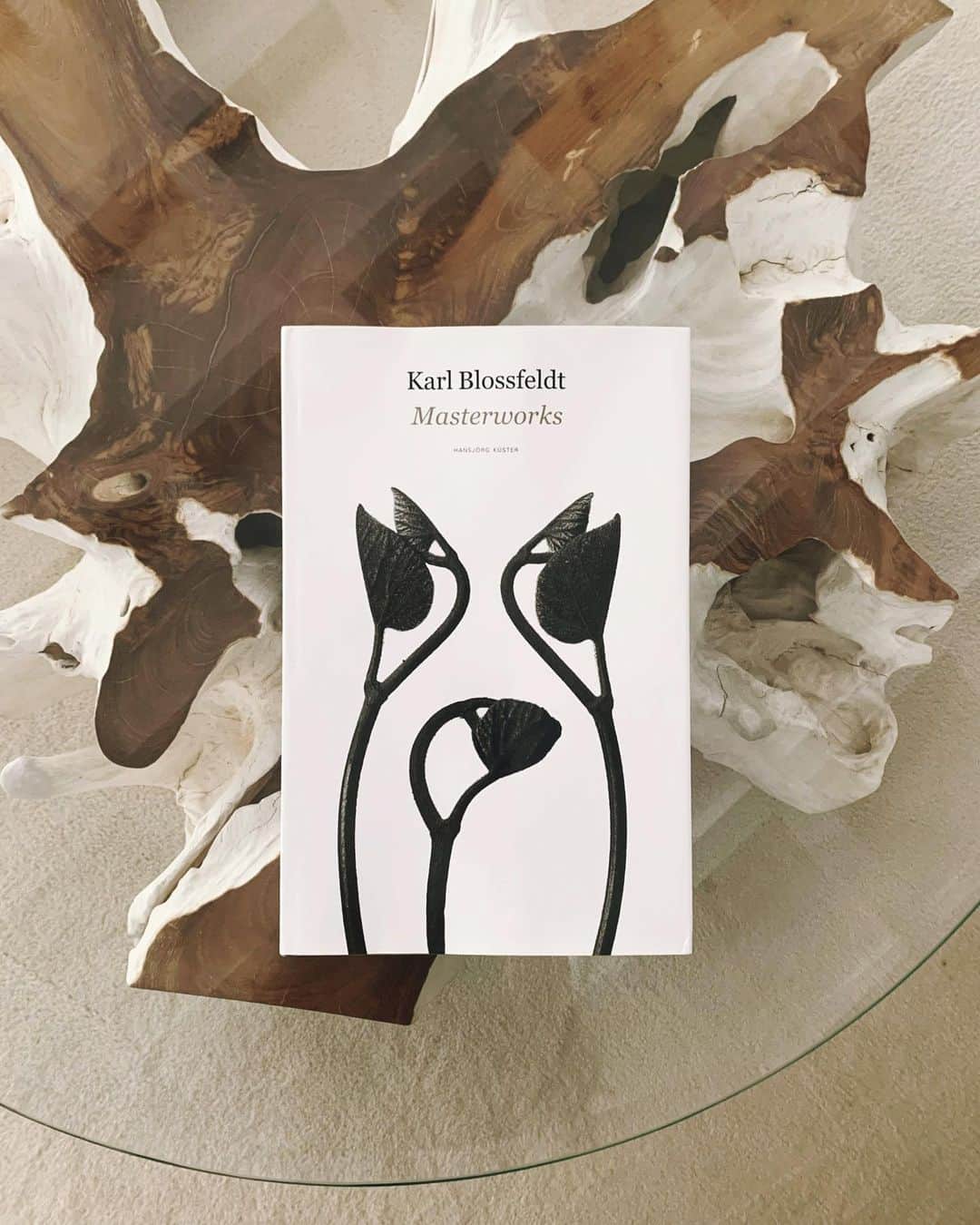 のインスタグラム：「Beautiful Art Book 🌿  #karlblossfeldt  #MasterWorks #plants  #新即物主義」